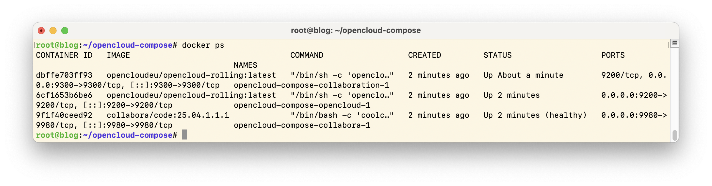Docker ps