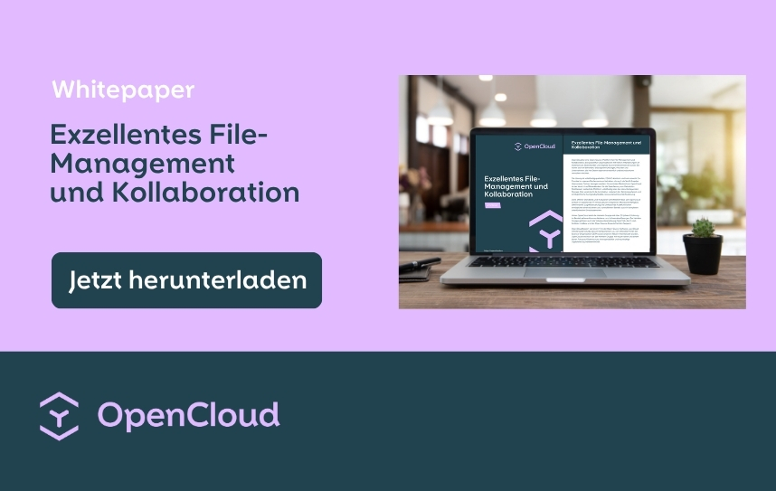 Whitepaper: Exzellentes File-Management und Kollaboration