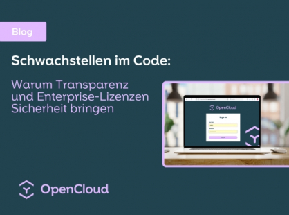 Schwachstellen im Code