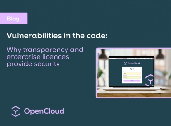 Vulnerabilities in the code