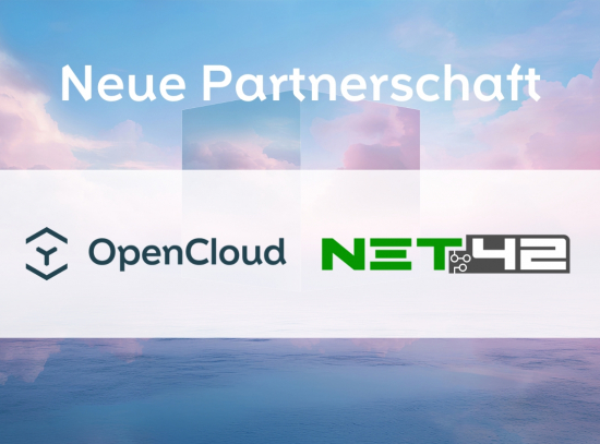 Partnerschaft net42